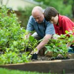 People working in a garden. 
